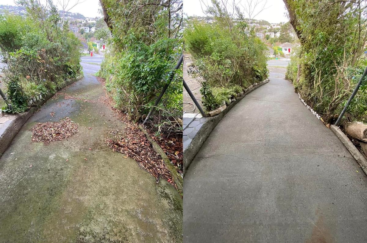 Driveway cleaning in Johnsonville, before and after, concrete or paver driveway lifted from mossy grey to clean restored surface