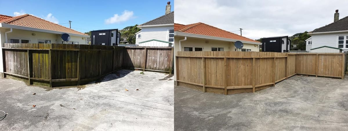Wellington fence cleaning before and after, tall paling timber fence with heavy green mould patches before, fresh warm-toned timber palings after a high-pressure clean