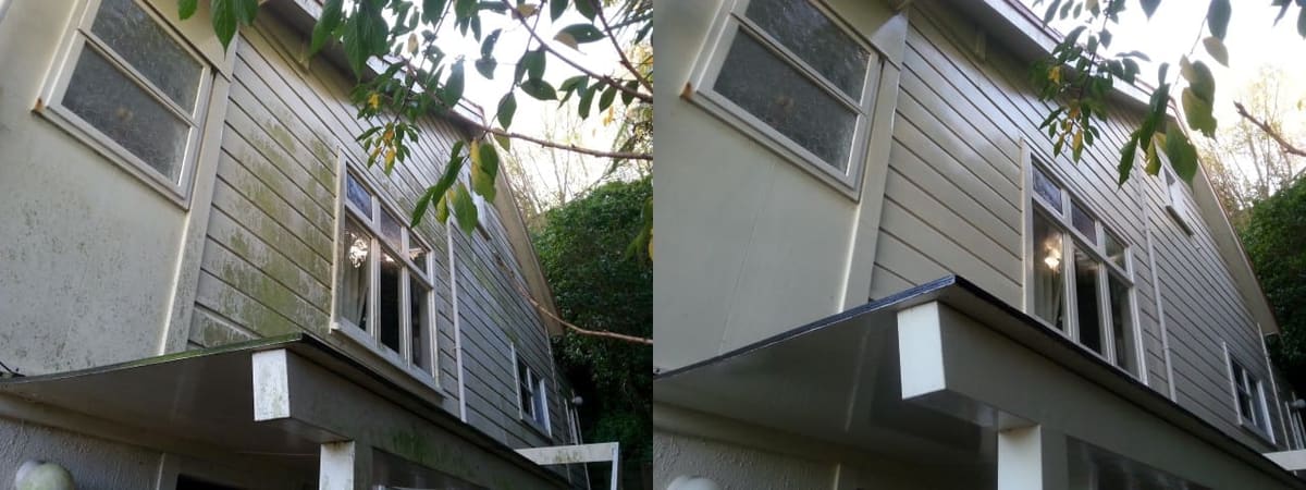 Wellington house wash before and after, two-storey weatherboard home with shadowed bush-side wall covered in green algae before, clean restored cream cladding after a soft-wash with biocide chemistry