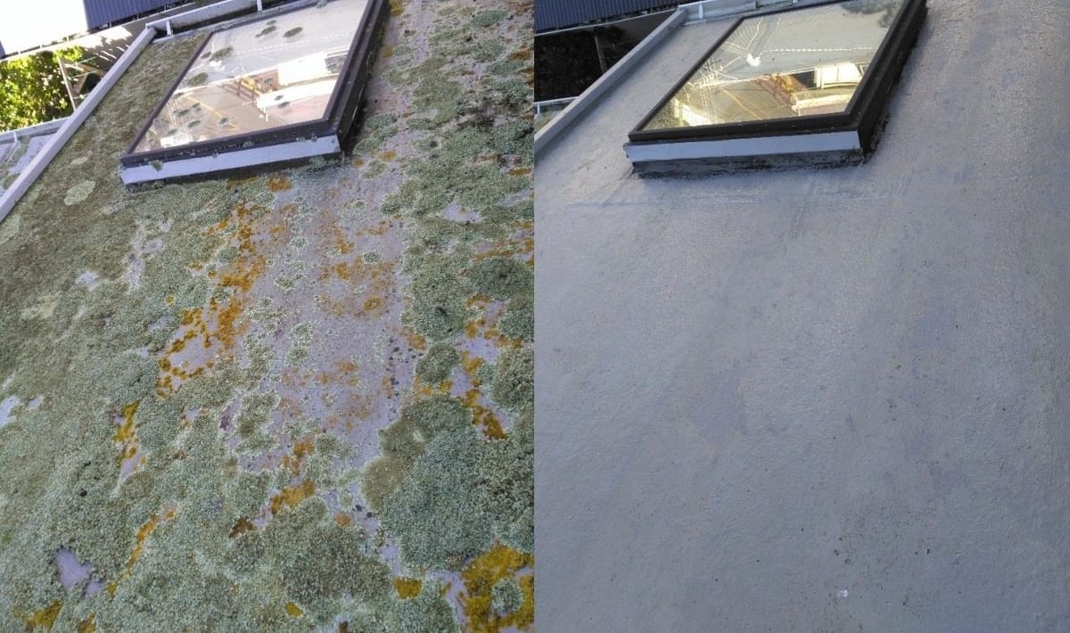 Roof lichen treatment in Wellington, low-pitch roof around a skylight, heavy crustose lichen with green moss and orange-yellow biofilm before, clean grey roof surface after