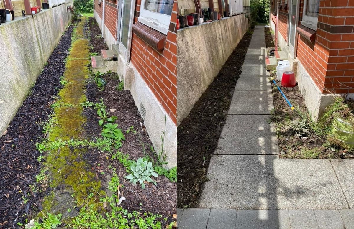 Path cleaning in Khandallah, before and after, footpath or garden path cleared of moss, weeds and weathering