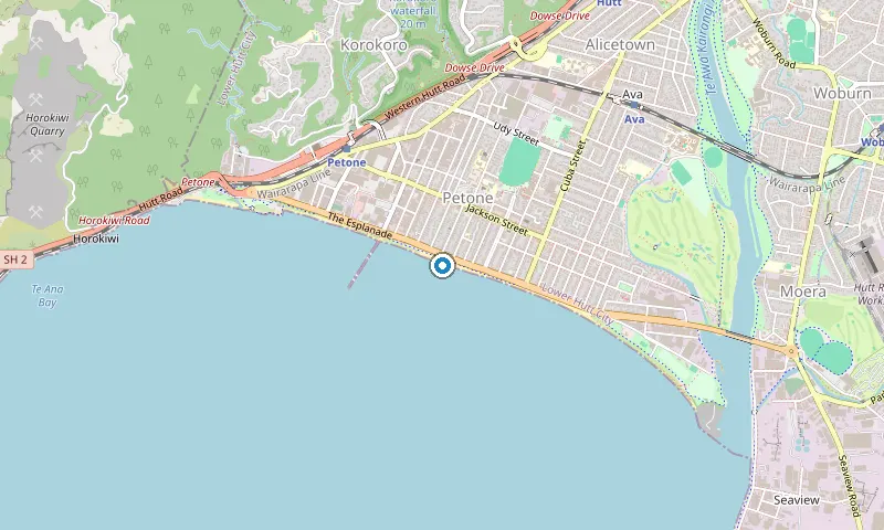 Map of Petone showing the area James services